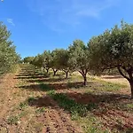 Quinta De Santa Teresa Séjour à la ferme