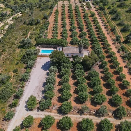 Quinta De Santa Teresa Alojamento de Turismo Rural