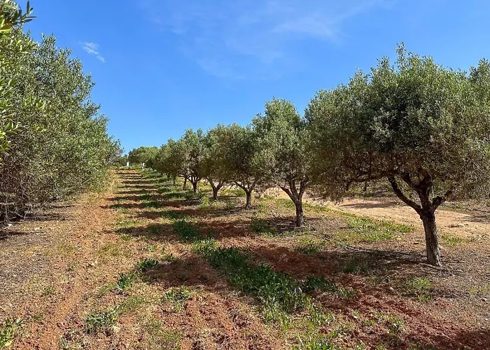 Quinta De Santa Teresa Bauernhof
