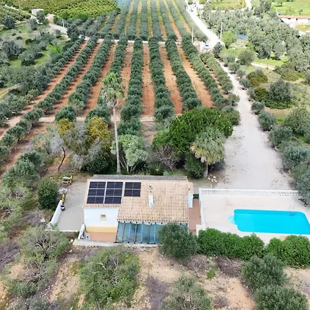 Quinta De Santa Teresa Lagoa (Algarve)