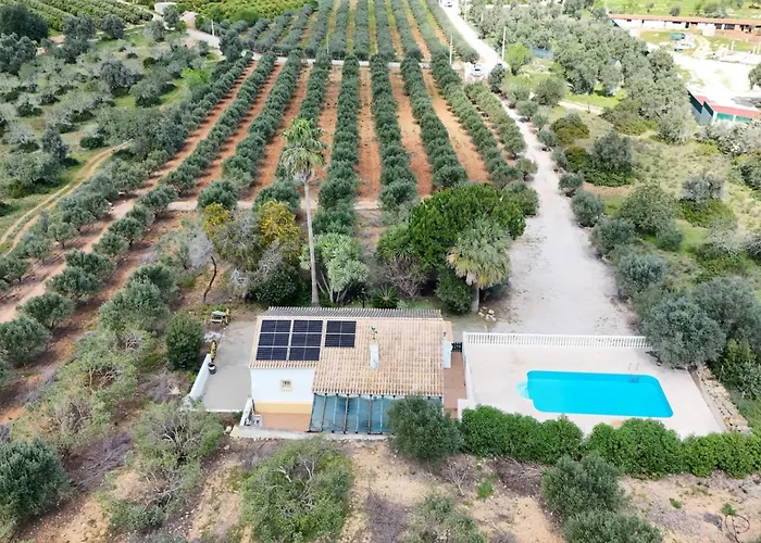 Quinta De Santa Teresa לגואה